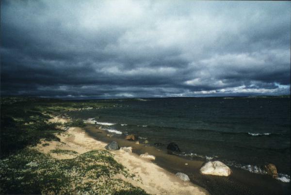 Strong winds comming up, Barrens