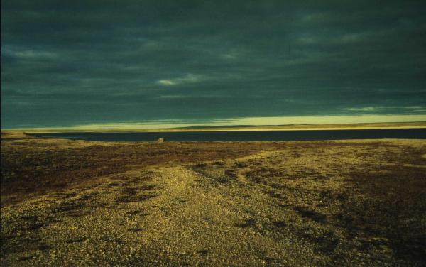 Fields of gold, Barrens